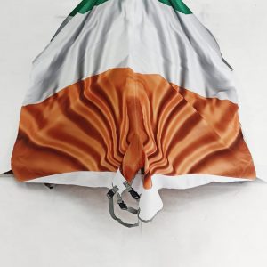 WASZP Boat Cover Wings Down - Ireland